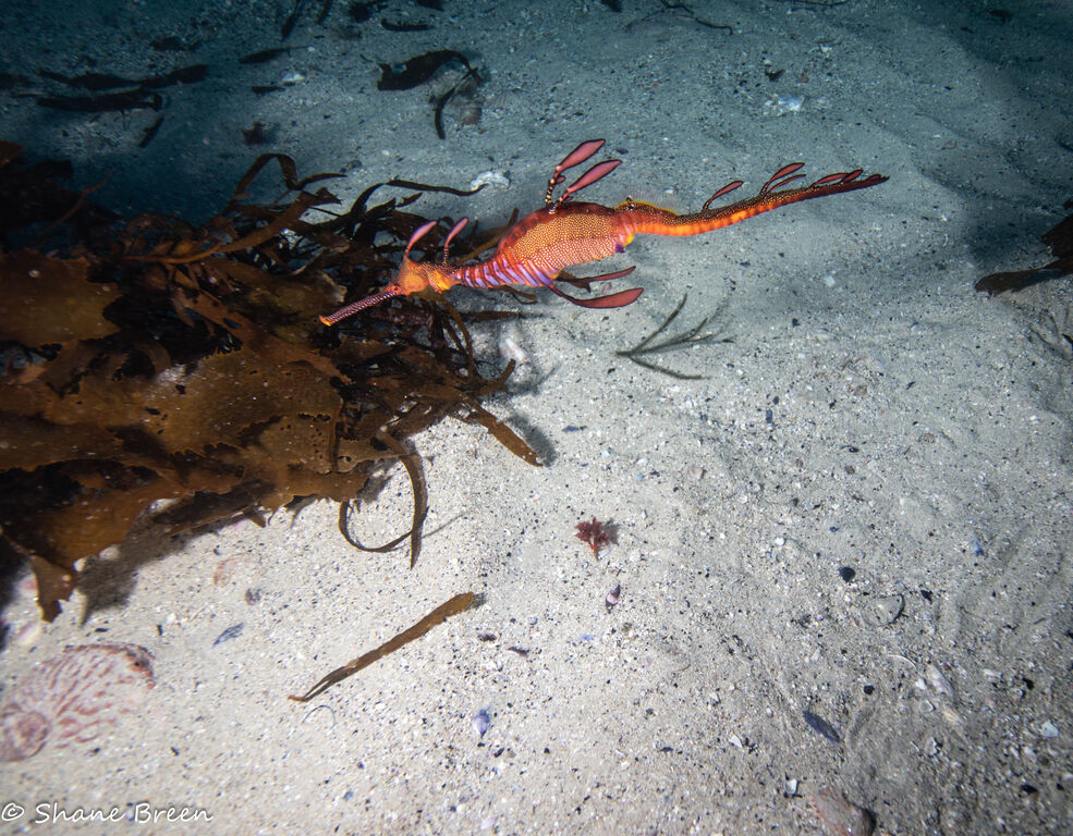 8d744540-7973-4efd-8650-85e27322d25c