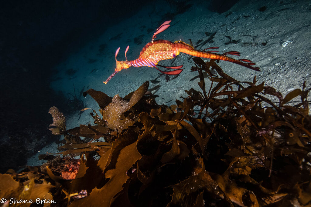 8d744540-7973-4efd-8650-85e27322d25c