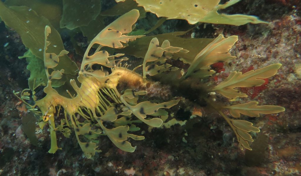 8373b3c7-9439-42e3-a9a3-e9e1606d5812