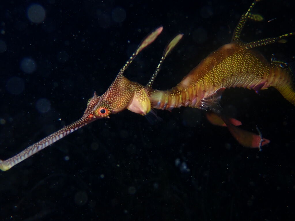 8bf71462-4eae-4e0f-b6c1-a13d4413f374