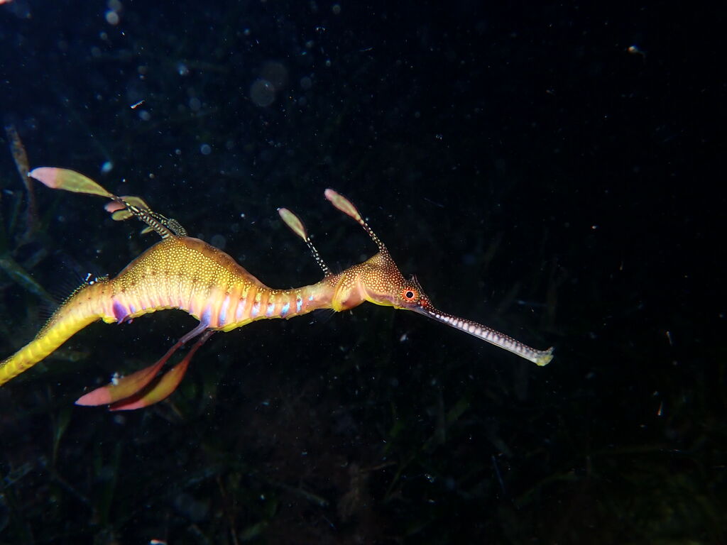 8bf71462-4eae-4e0f-b6c1-a13d4413f374