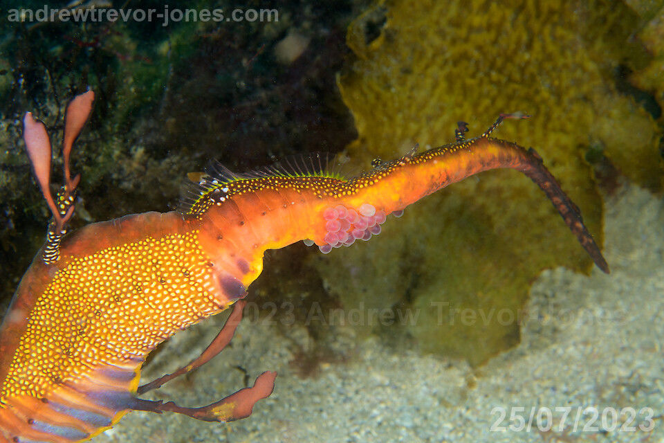 69c84b32-9792-45e3-85d8-979987cb27c5