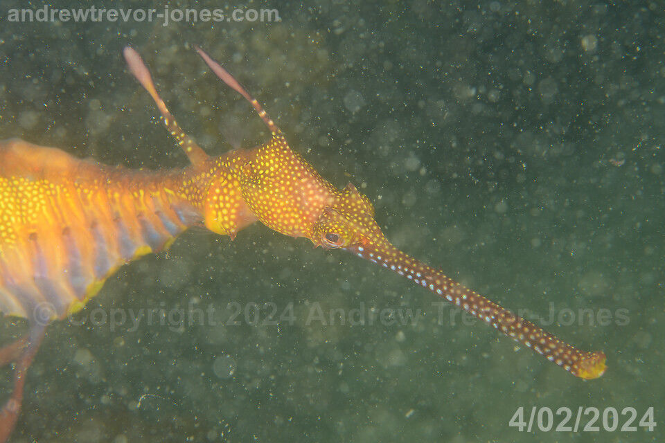 d79fd72c-6e12-4a20-942d-bacbb0c97cee