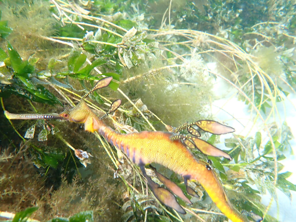 1ac69175-2614-4869-81c2-8dcae03b3118