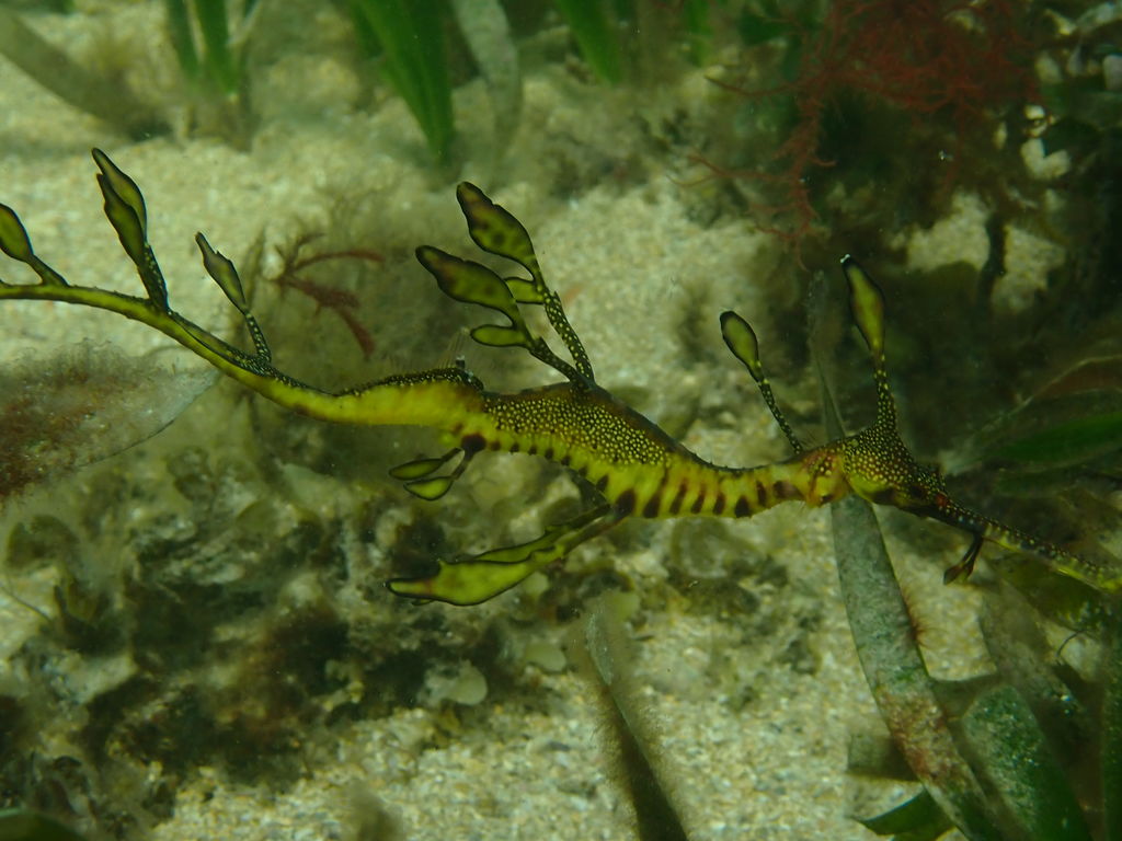 f26e3802-0881-49bc-b8d5-55af4ef50989