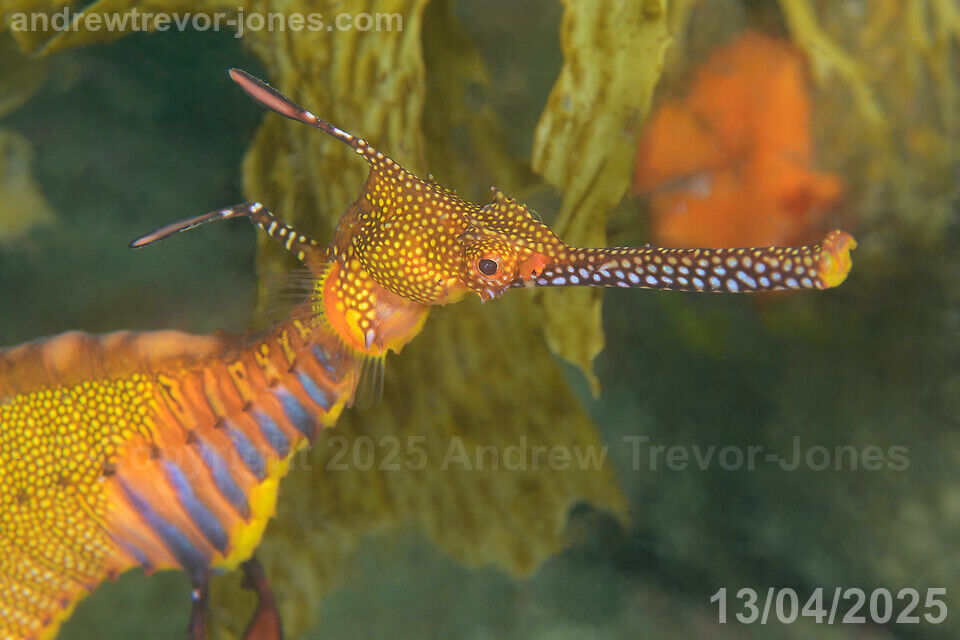 9b8f1e04-1018-4775-a3b1-4cb50c17edd5