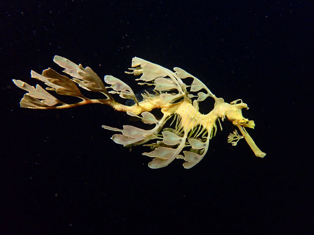 45dd198b-5305-4991-a8e9-e6e911a16f41