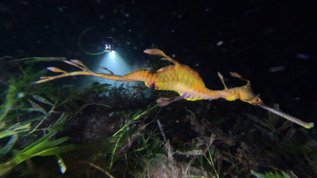 82951df7-d16e-4ee3-b287-06a955724fe7