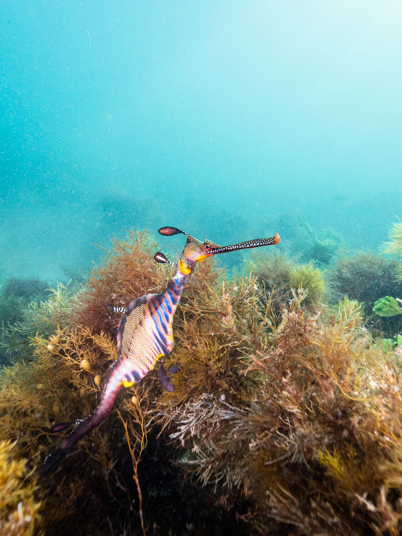 921bc95b-0ec7-4a05-b6f2-d3bf9b0d72b0