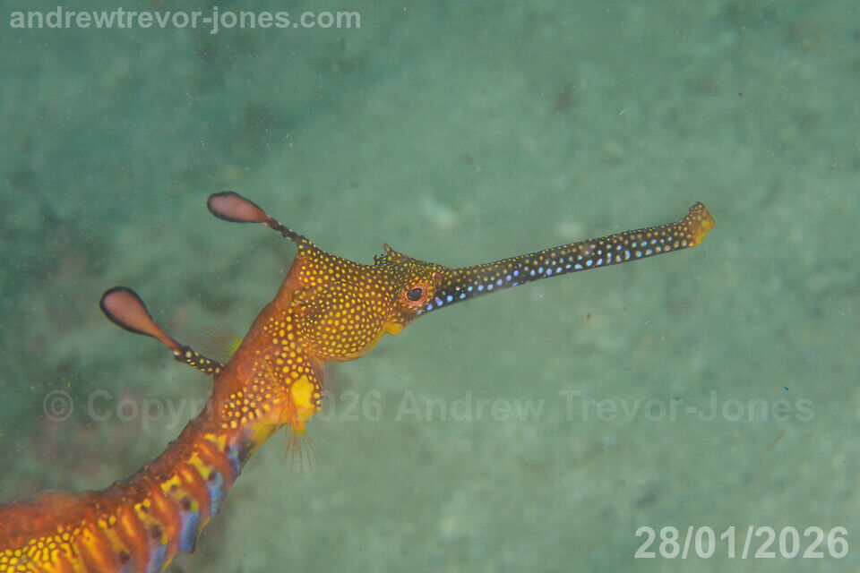 c3ab5a79-aba3-4364-9a3b-d76f767f02c9