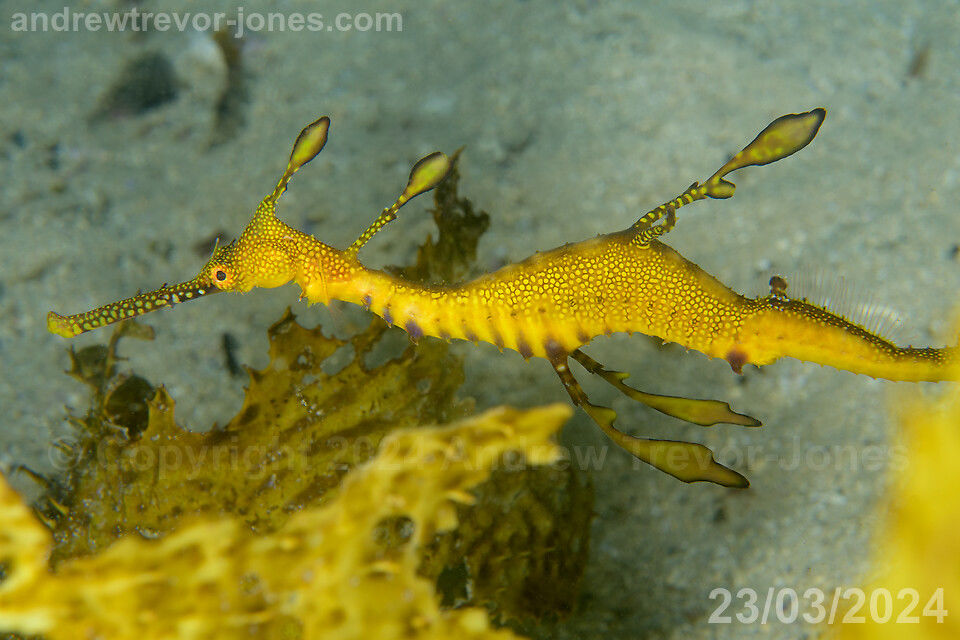 3d62e8ae-88b8-435f-b14d-5bc86b3262c6