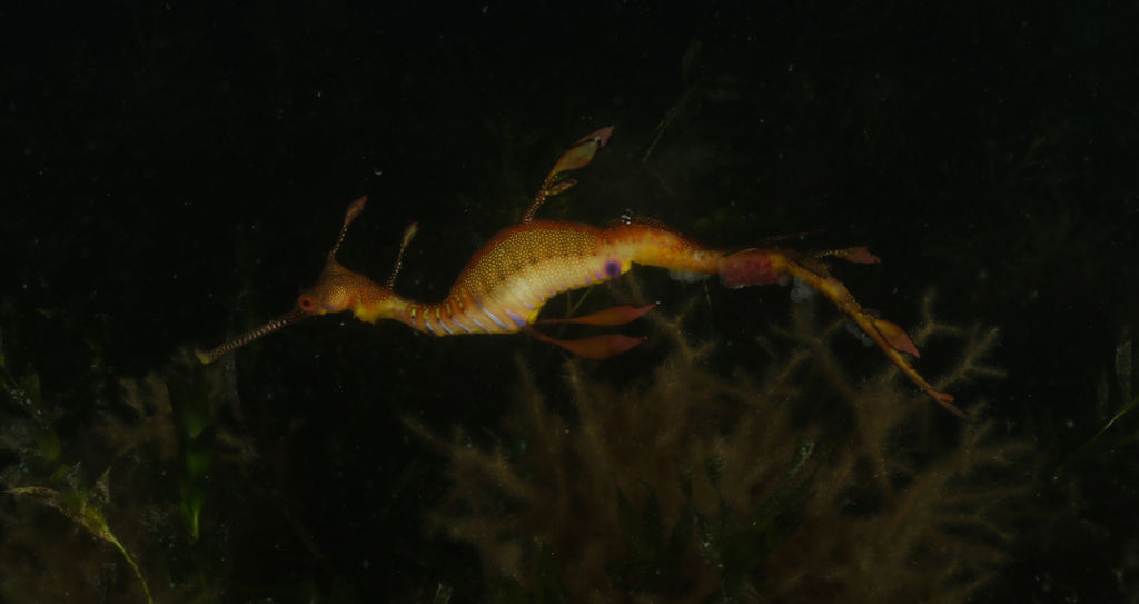 fd7fda8c-6a27-4a3b-b09a-312b9d12539f