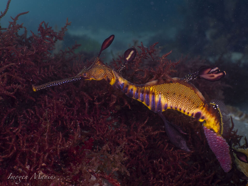 f287a883-b22e-45da-bd62-e66007422e29