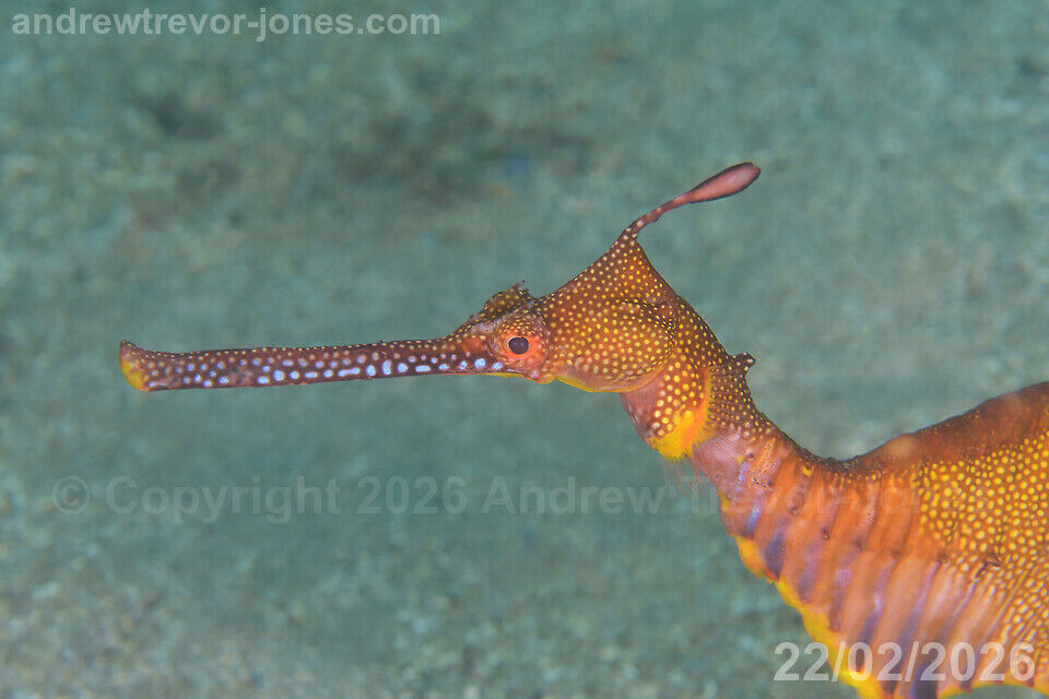 c5ac0275-c6de-4cc2-a9c9-861afe33c75e