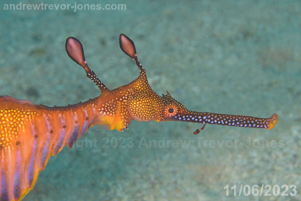 1a6e4338-813e-4ba0-be2c-79419c73fde7