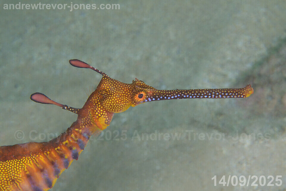 c3ab5a79-aba3-4364-9a3b-d76f767f02c9