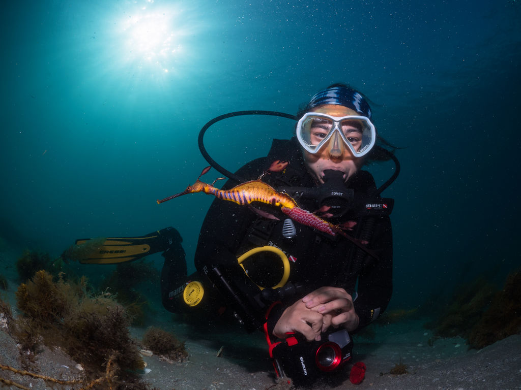 f287a883-b22e-45da-bd62-e66007422e29