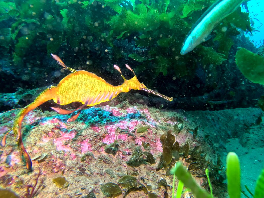 ee11f0be-fef0-4a8a-812b-72e7e8ced06b