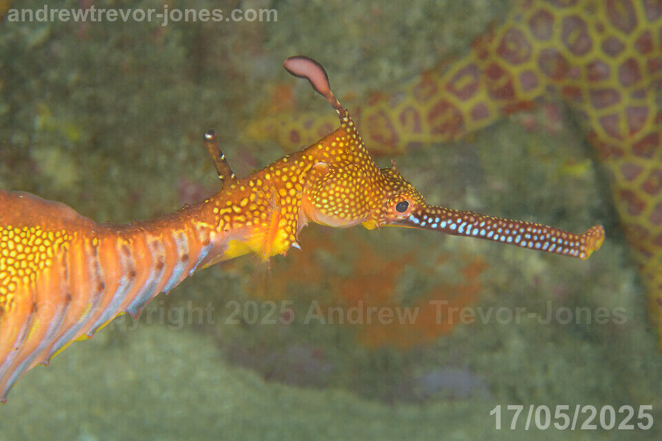 135d2e87-712e-44c5-a3ab-9680b821ad87