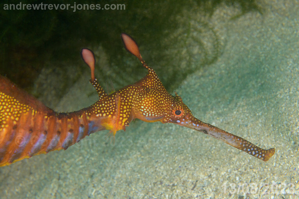 69c84b32-9792-45e3-85d8-979987cb27c5