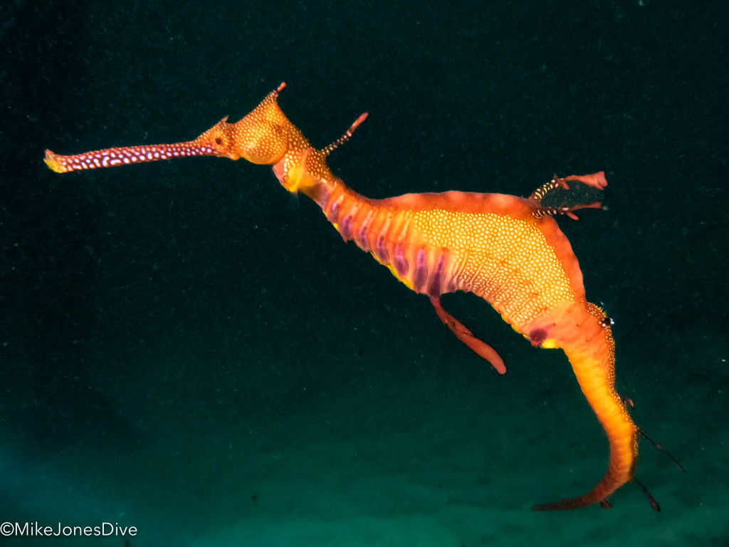 e6d08eda-9061-4a01-9ad3-5eb8ba0ff63b