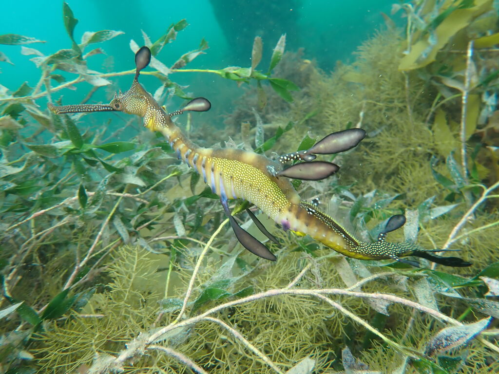 cad05182-263f-478d-95b1-f69bd9ae3754