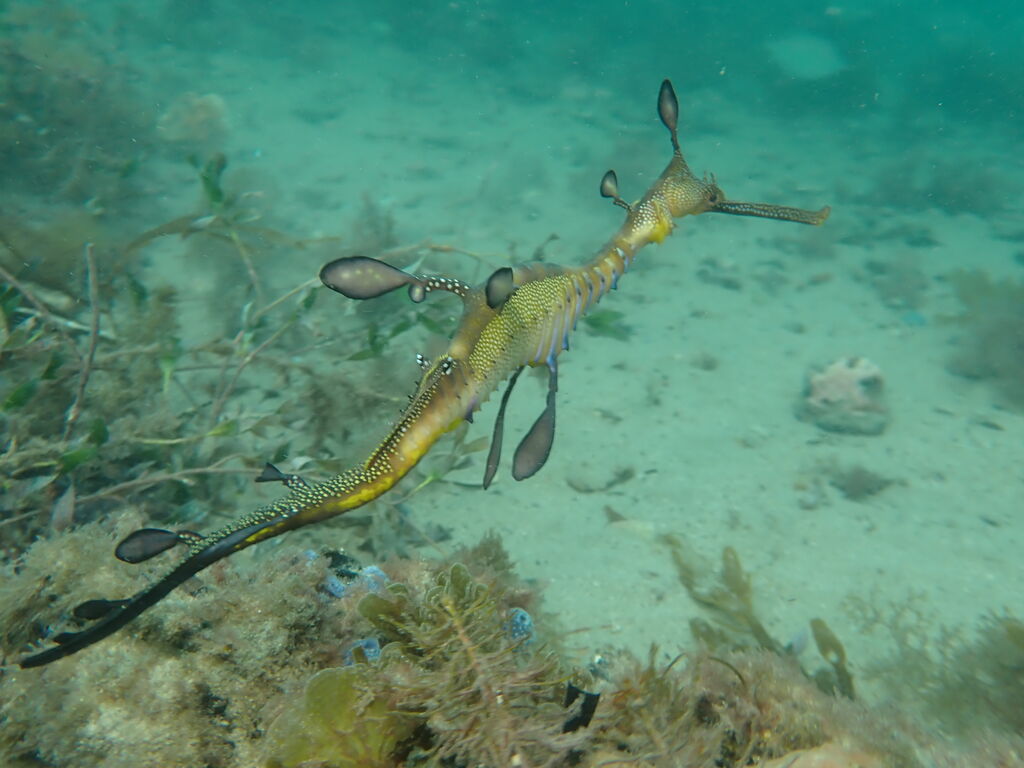 cad05182-263f-478d-95b1-f69bd9ae3754