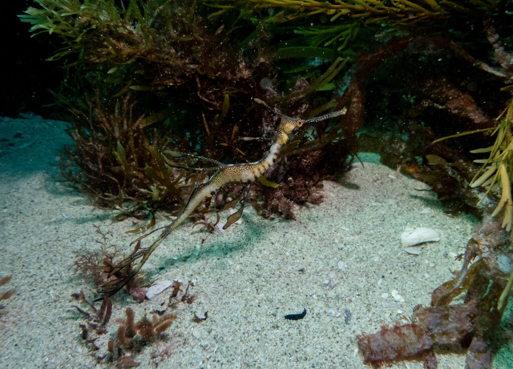 08442657-71ff-40fc-99d4-a80217b5b831