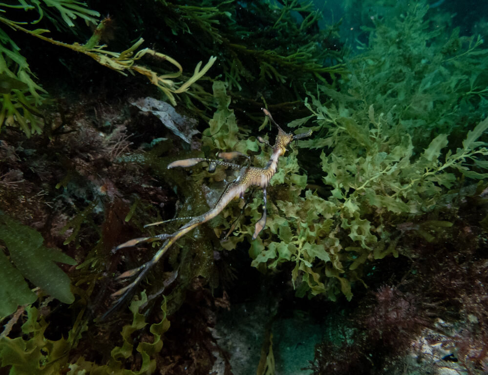 08442657-71ff-40fc-99d4-a80217b5b831