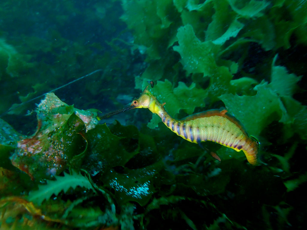 be6c2622-e107-4011-b226-e18e0b75a500