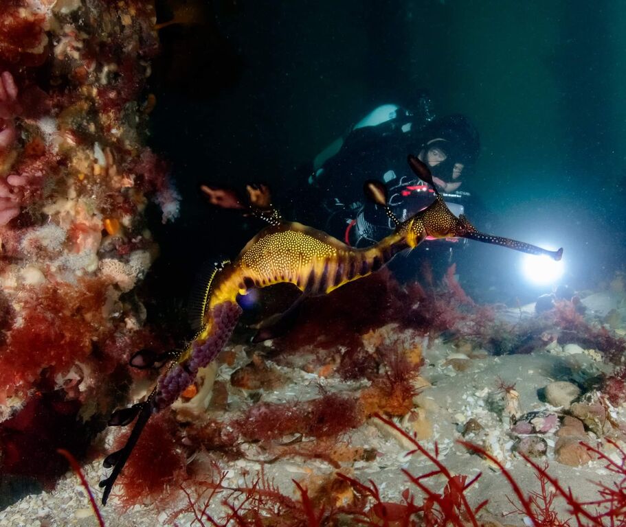 f287a883-b22e-45da-bd62-e66007422e29