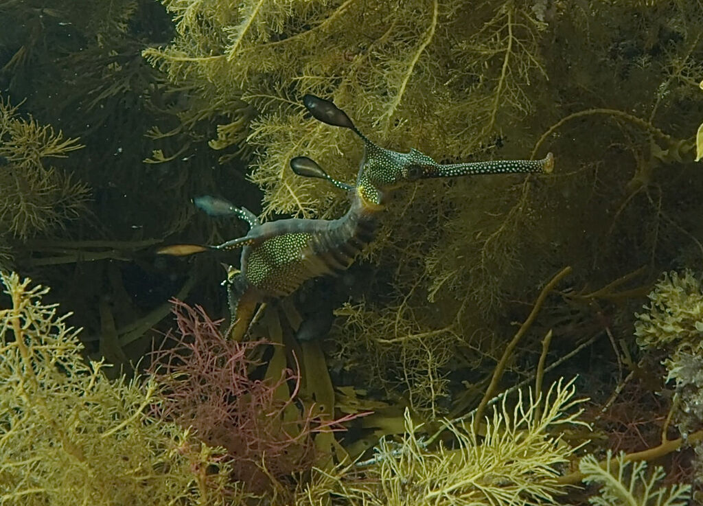 a6fd8a1d-5497-4cd6-b62f-818dd7b442b8