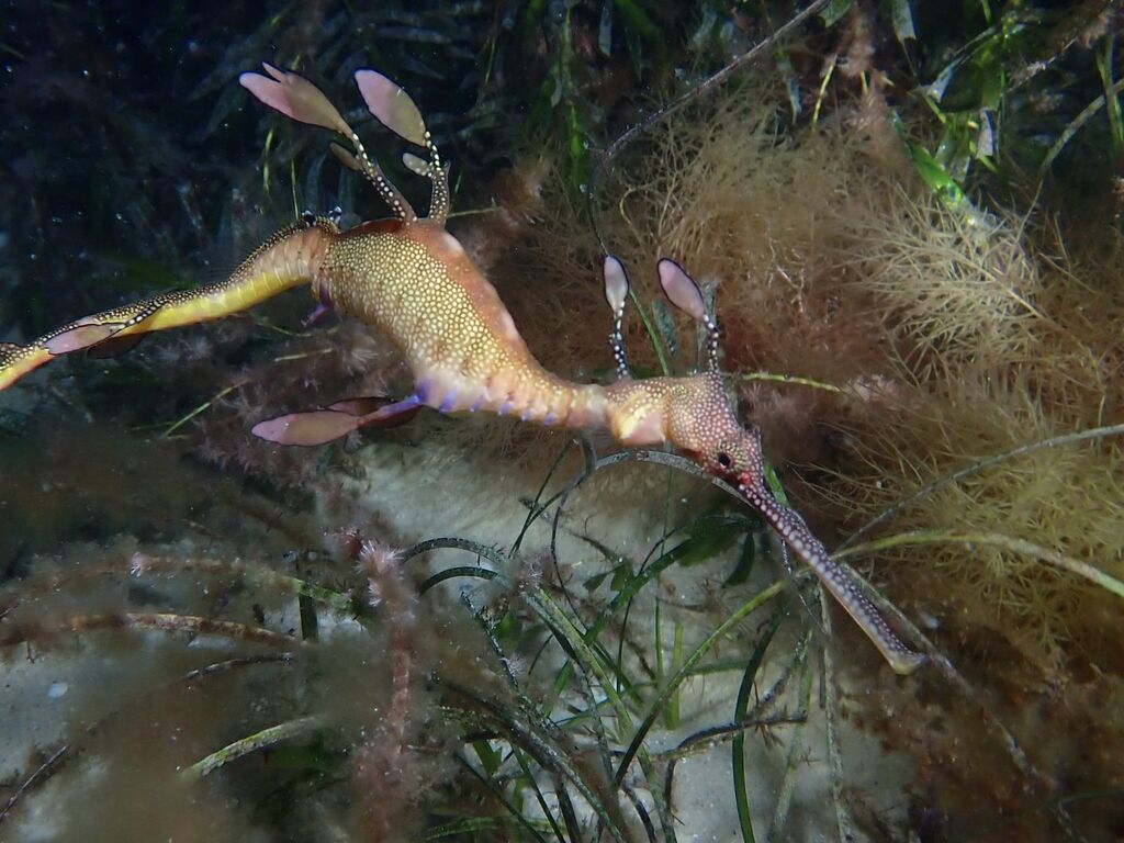 3733233a-0800-406a-9b2e-1f0ca2fa1222