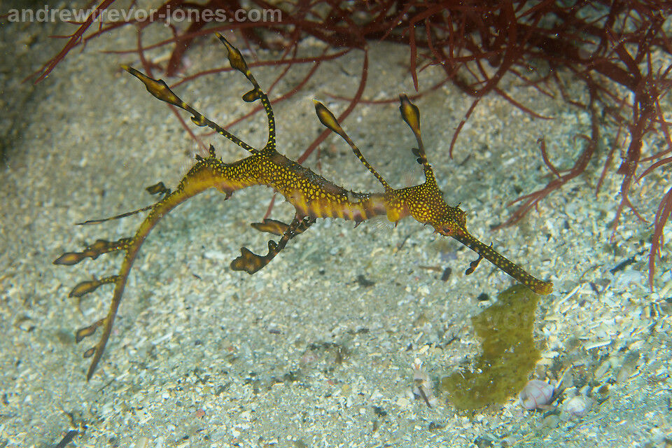 32f1e0e6-7891-45d7-953f-67cf535776a8