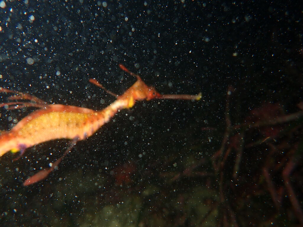 720716cc-e1e0-4e8e-b44f-a9ad1479aff8