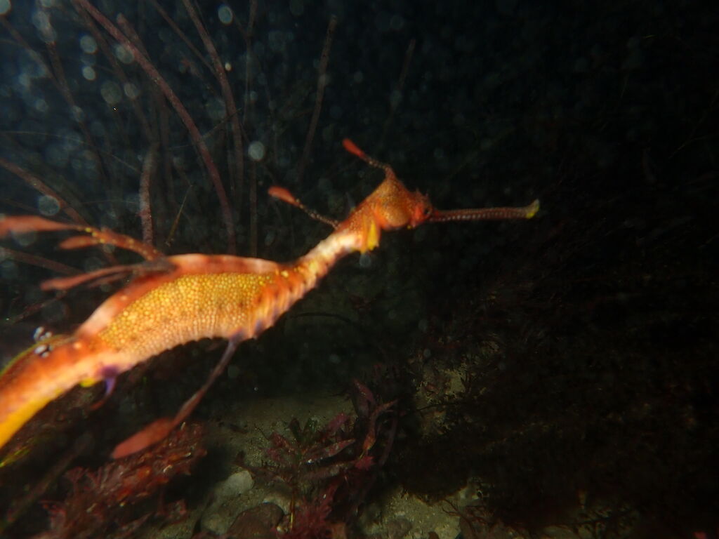 720716cc-e1e0-4e8e-b44f-a9ad1479aff8