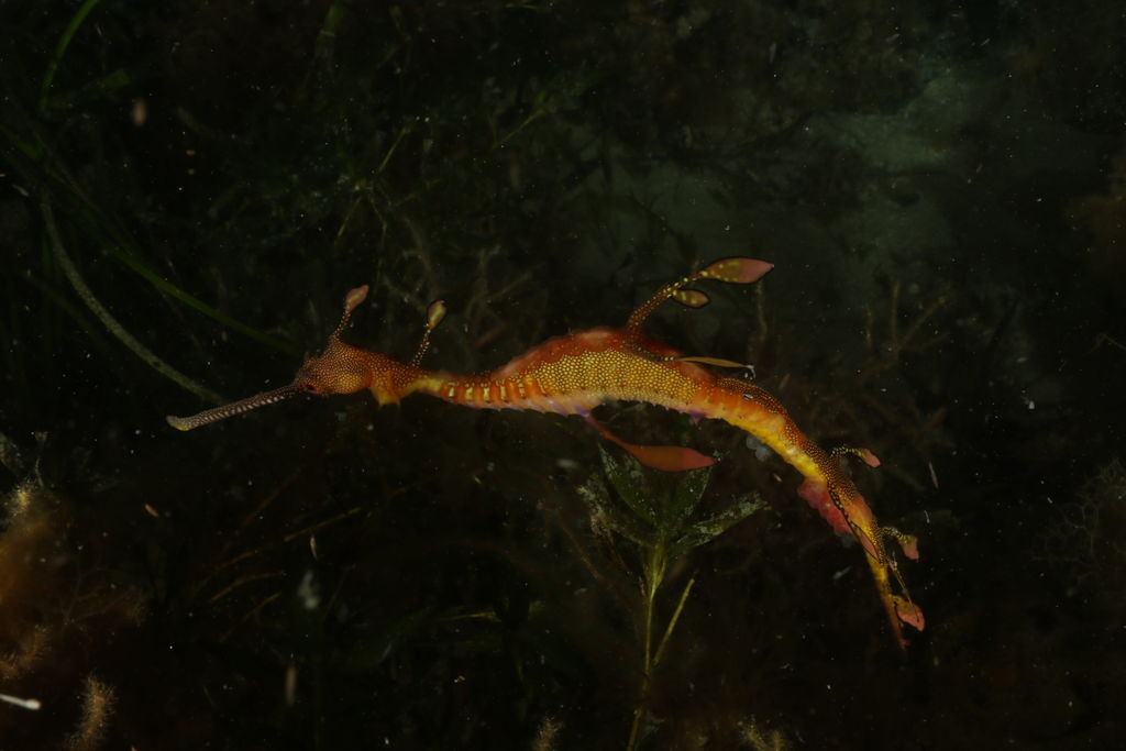 fd7fda8c-6a27-4a3b-b09a-312b9d12539f