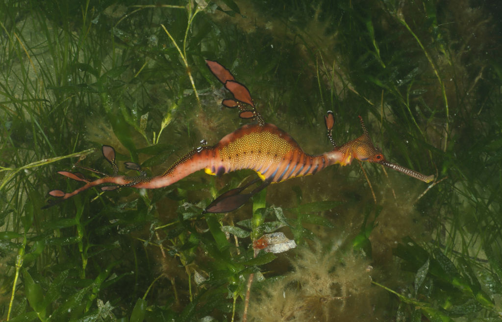 958c6928-19d9-4805-84e7-5985b81d1f7d