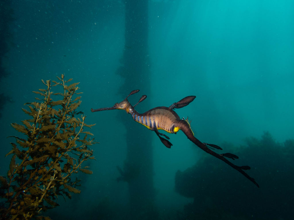 7ce0a172-b157-49f9-878b-dd13b84a3be9