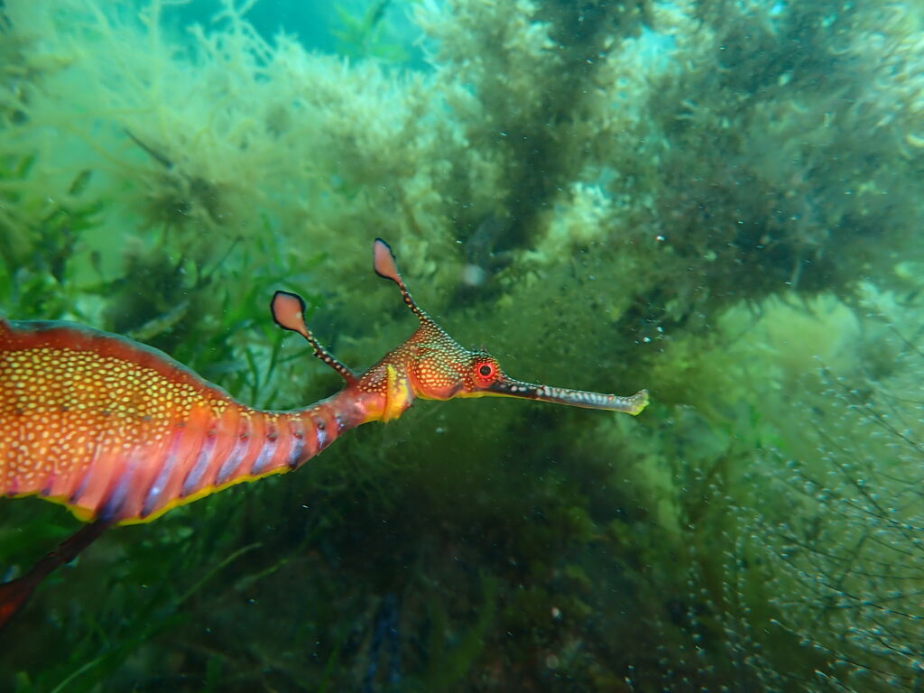 b4410448-436f-4064-9967-ead5ade426e6