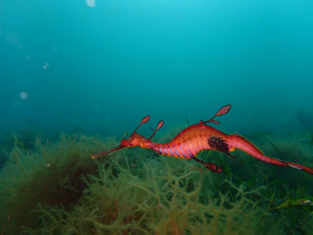 b4410448-436f-4064-9967-ead5ade426e6