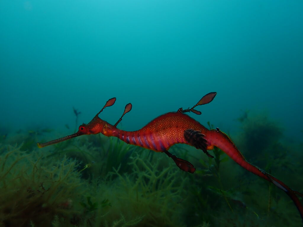 b4410448-436f-4064-9967-ead5ade426e6