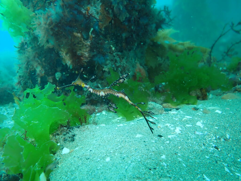 c3a818a9-1b55-489f-b639-f87e62cc48fc