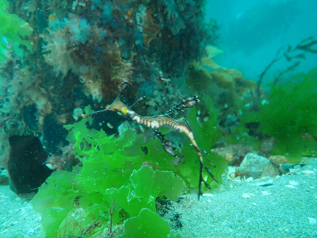 c3a818a9-1b55-489f-b639-f87e62cc48fc