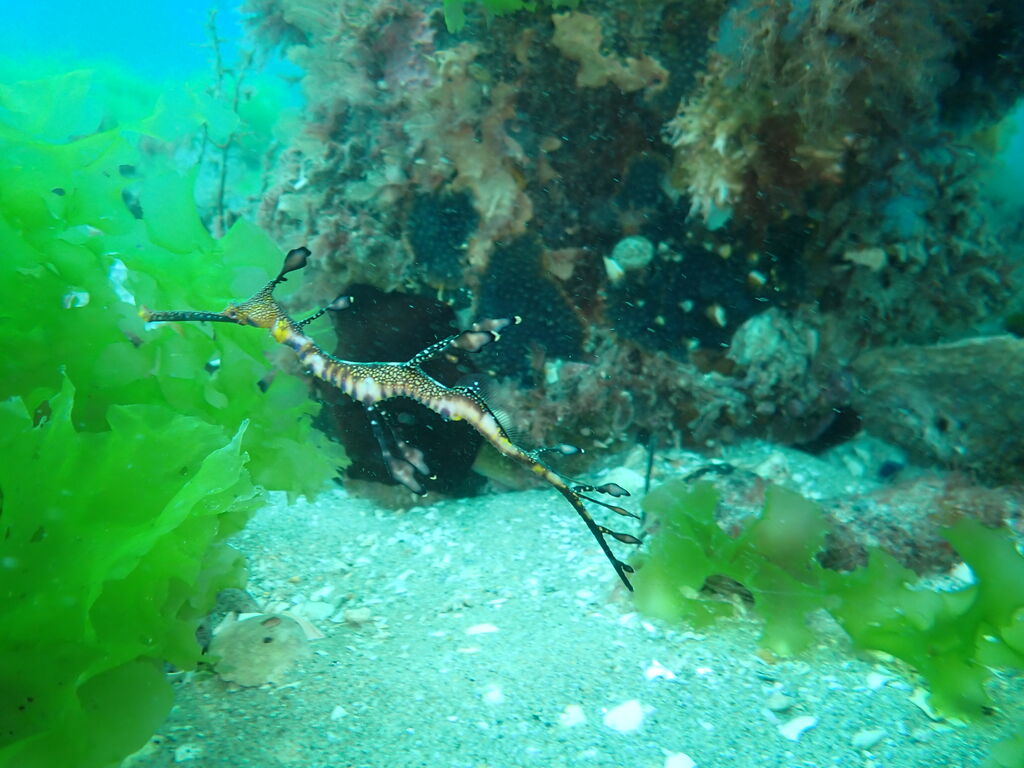 c3a818a9-1b55-489f-b639-f87e62cc48fc