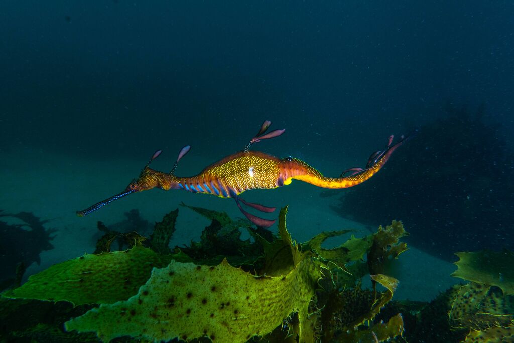 a1973755-f594-4722-9393-4866327b588c