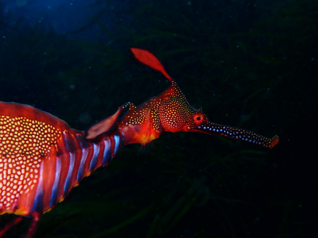 6b7ae8d4-93b1-455b-8142-750d85469505