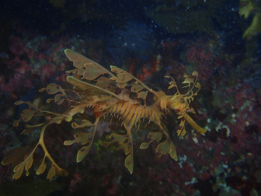 4ce4fdf4-d05b-446c-b2b4-748d9cf7d628