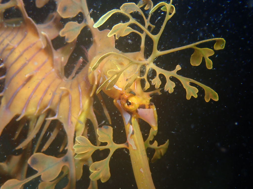 4ce4fdf4-d05b-446c-b2b4-748d9cf7d628