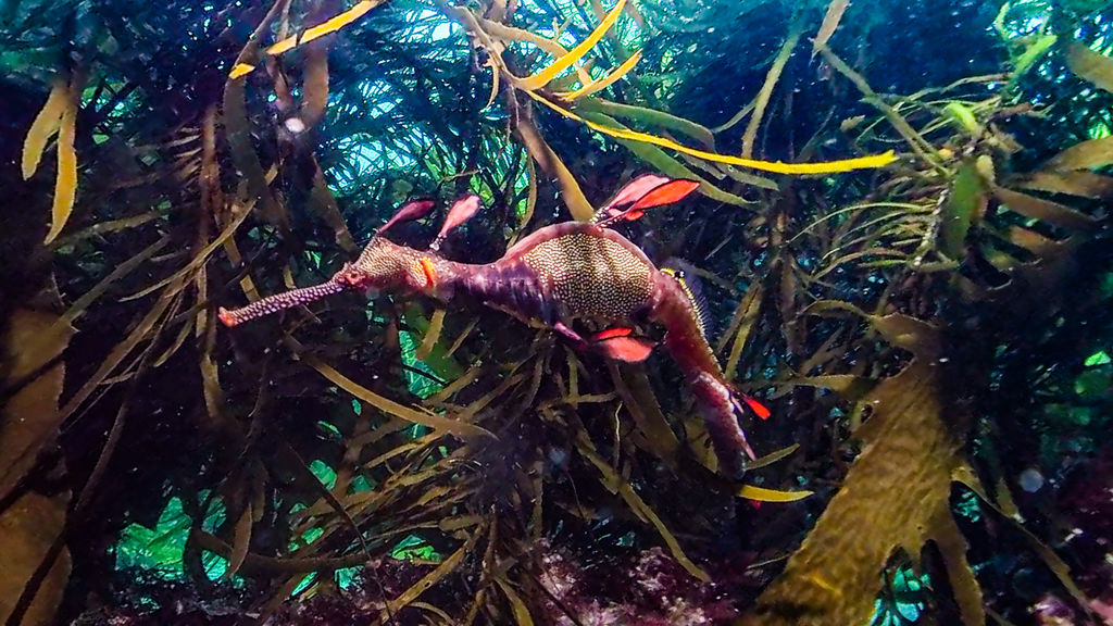 6b7ae8d4-93b1-455b-8142-750d85469505